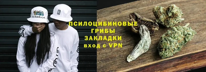 Псилоцибиновые грибы GOLDEN TEACHER  OMG   Володарск  darknet наркотические препараты  где купить  